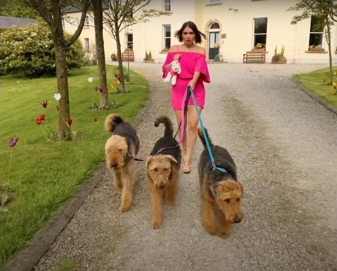 Clone Country House Охрим Экстерьер фото Airedale Terriers